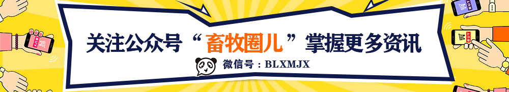 1597647018403176.jpg 引流.jpg
